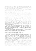 유럽의 이슬람화와 한국의 이슬람 전망-10