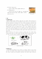 멕시코의 음식문화-14