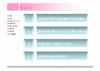 [자원봉사론] 환경NGO 및 NPO의 자원봉사활동-4