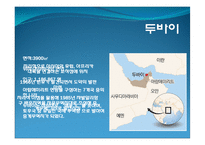 두바이 항만 레포트-3