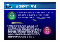 금산분리원칙 레포트-3