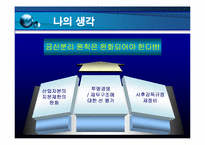금산분리원칙 레포트-17