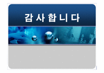 금산분리원칙 레포트-18