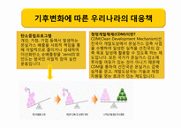 [생태계경영] 각국의 산림 경영과 한국의 산림 경영방향설정-20
