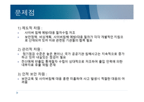 전자정부 역기능-11