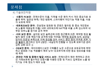 전자정부 역기능-12