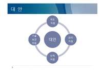 전자정부 역기능-13