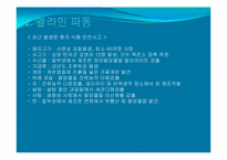 멜라민파동으로 본 중국산식품안전사고-7