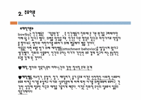 존 보울비(JOHN BOWLBY), AINSWORTH-3