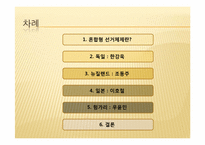 혼합선거체제 레포트-3