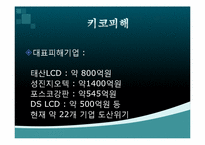키코 KIKO를 통해 드러난 한국경제구조의 부실함-9
