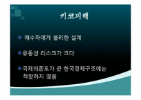 키코 KIKO를 통해 드러난 한국경제구조의 부실함-10