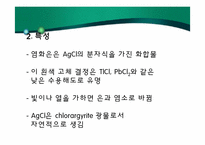 [환경화학] 염소계 화합물-9