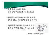[환경화학] 염소계 화합물-11