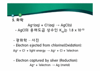 [환경화학] 염소계 화합물-14