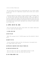 인덱스펀드 레포트-2