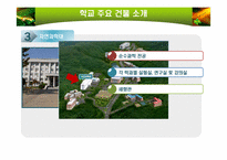 한국외국어대학교 경영학적 분석-15