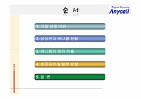 삼성전자 애니콜 국제경영-2