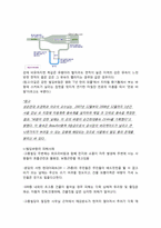 도시기후특성과 빌딩바람, 바람길을 고려한 도시계획-6