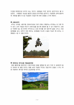 [지역관광론] 제주도 영화 `각설탕` 스토리텔링(Story Telling)-9