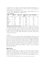 서브프라임 모기지 보고서-9