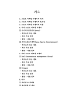 국내,외 스포츠 마케팅 대행사 비교 분석-2