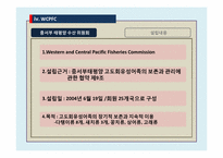 참치 전쟁 레포트-11