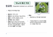 당뇨를 다스리는 약선요리-12