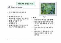 당뇨를 다스리는 약선요리-13