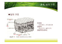 제8장 식물지구화학-4
