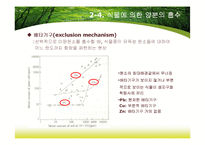 제8장 식물지구화학-9