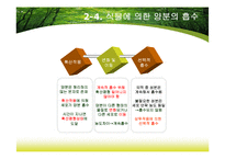 제8장 식물지구화학-11