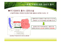 제8장 식물지구화학-12