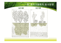 제8장 식물지구화학-18
