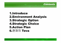 [국제경영] 테바 Teva Pharmaceutical Industries, Ltd-2