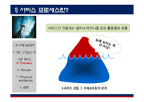 세스코 3P분석 레포트-8