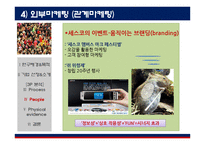 세스코 3P분석 레포트-16