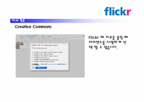 flickr 활용, 문제점 및 적용대책-5