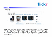 flickr 활용, 문제점 및 적용대책-9