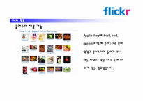 flickr 활용, 문제점 및 적용대책-17