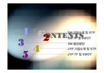 [마케팅] SM vs JYP Entertainment 비교분석-3