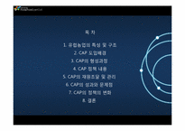 유럽연합의 공동농업정책(CAP -Common Agricultural Policy)-2