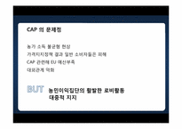 유럽연합의 공동농업정책(CAP -Common Agricultural Policy)-12
