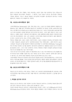 [스타마케팅]스포츠스타와 미디어, 스포츠스타와 집단정체성, 스포츠스타와 팬덤, 스포츠스타와 광고모델, 스포츠스타와 마케팅 및 스포츠스타마케팅의 정의, 스포츠스타마케팅의 사례, 스포츠스타마케팅의 효과분석-8