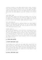 [여성스포츠][스포츠][여성][성차별][여성차별][남녀평등][양성평등][페미니즘]스포츠와 여성, 스포츠와 성차별(여성차별), 스포츠와 남녀평등(양성평등), 스포츠와 페미니즘, 여성스포츠의 전망에 관한 분석-13