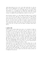 [마케팅] 미샤 화장품의 중국시장 마케팅 전략-12