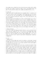 [마케팅] 미스터 피자의 마케팅 전략-9