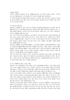 [경영전략] 래미안(來美安)의 브랜드 전략-15