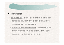 웰빙에 대해서 레포트-11