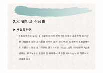 웰빙에 대해서 레포트-12